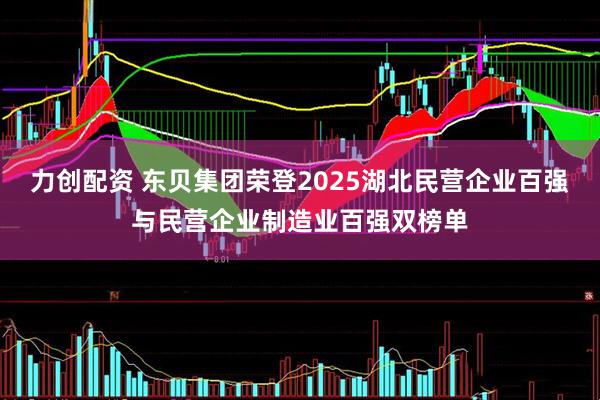力创配资 东贝集团荣登2025湖北民营企业百强与民营企业制造业百强双榜单