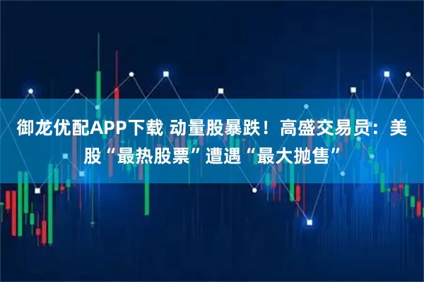 御龙优配APP下载 动量股暴跌！高盛交易员：美股“最热股票”遭遇“最大抛售”