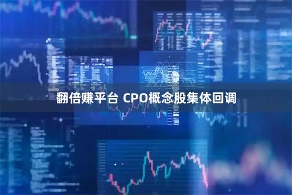 翻倍赚平台 CPO概念股集体回调