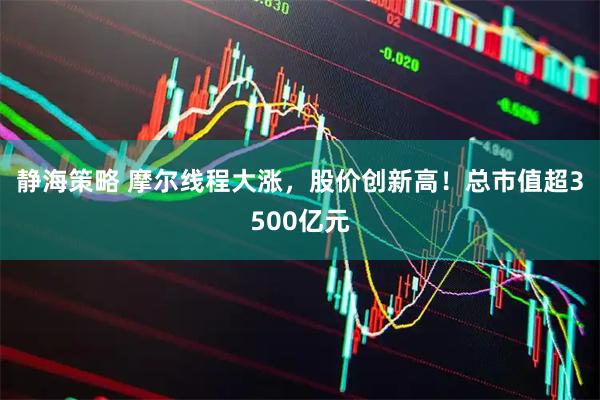 静海策略 摩尔线程大涨，股价创新高！总市值超3500亿元