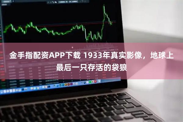 金手指配资APP下载 1933年真实影像，地球上最后一只存活的袋狼