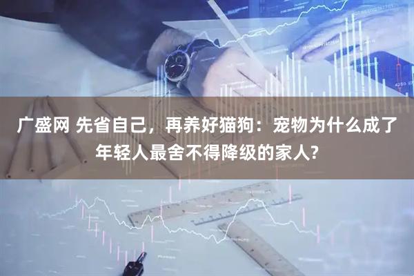 广盛网 先省自己，再养好猫狗：宠物为什么成了年轻人最舍不得降级的家人?