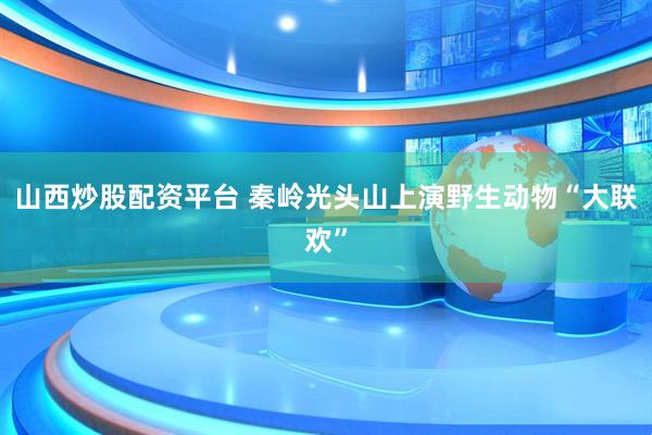 山西炒股配资平台 秦岭光头山上演野生动物“大联欢”